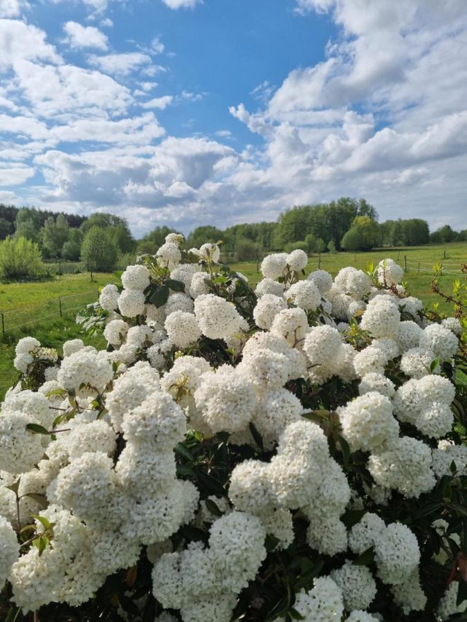 Woodhouse Spreewiesen Burig Buitenkant foto